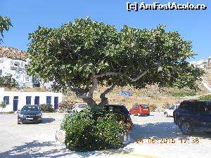 [P30] Ceva verde, însuflețit, lângă mașinile din parcarea de la plajă.  » foto by Rodel
 - 
<span class="allrVoted glyphicon glyphicon-heart hidden" id="av648048"></span>
<a class="m-l-10 hidden" id="sv648048" onclick="voting_Foto_DelVot(,648048,1176)" role="button">șterge vot <span class="glyphicon glyphicon-remove"></span></a>
<a id="v9648048" class=" c-red"  onclick="voting_Foto_SetVot(648048)" role="button"><span class="glyphicon glyphicon-heart-empty"></span> <b>LIKE</b> = Votează poza</a> <img class="hidden"  id="f648048W9" src="/imagini/loader.gif" border="0" /><span class="AjErrMes hidden" id="e648048ErM"></span>