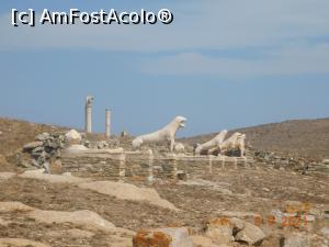 P51 [SEP-2021] Delos, Terasa Leilor