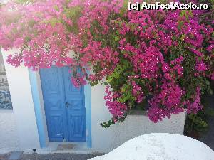 [P26] Case cu flori in Oia » foto by LeaveYou
 - 
<span class="allrVoted glyphicon glyphicon-heart hidden" id="av528130"></span>
<a class="m-l-10 hidden" id="sv528130" onclick="voting_Foto_DelVot(,528130,1177)" role="button">șterge vot <span class="glyphicon glyphicon-remove"></span></a>
<a id="v9528130" class=" c-red"  onclick="voting_Foto_SetVot(528130)" role="button"><span class="glyphicon glyphicon-heart-empty"></span> <b>LIKE</b> = Votează poza</a> <img class="hidden"  id="f528130W9" src="/imagini/loader.gif" border="0" /><span class="AjErrMes hidden" id="e528130ErM"></span>