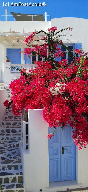 P05 [SEP-2020] Bougainvillea din Oia