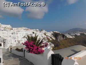 P02 [SEP-2020] Din Imerovigli, o frumoasă bougainvillea