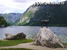 [P20] Bohinj » foto by felix
 - 
<span class="allrVoted glyphicon glyphicon-heart hidden" id="av429100"></span>
<a class="m-l-10 hidden" id="sv429100" onclick="voting_Foto_DelVot(,429100,1181)" role="button">șterge vot <span class="glyphicon glyphicon-remove"></span></a>
<a id="v9429100" class=" c-red"  onclick="voting_Foto_SetVot(429100)" role="button"><span class="glyphicon glyphicon-heart-empty"></span> <b>LIKE</b> = Votează poza</a> <img class="hidden"  id="f429100W9" src="/imagini/loader.gif" border="0" /><span class="AjErrMes hidden" id="e429100ErM"></span>