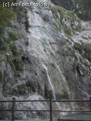 [P17] Cascada Palenk, văzută din stânga » foto by diacrys*
 - 
<span class="allrVoted glyphicon glyphicon-heart hidden" id="av795943"></span>
<a class="m-l-10 hidden" id="sv795943" onclick="voting_Foto_DelVot(,795943,1181)" role="button">șterge vot <span class="glyphicon glyphicon-remove"></span></a>
<a id="v9795943" class=" c-red"  onclick="voting_Foto_SetVot(795943)" role="button"><span class="glyphicon glyphicon-heart-empty"></span> <b>LIKE</b> = Votează poza</a> <img class="hidden"  id="f795943W9" src="/imagini/loader.gif" border="0" /><span class="AjErrMes hidden" id="e795943ErM"></span>