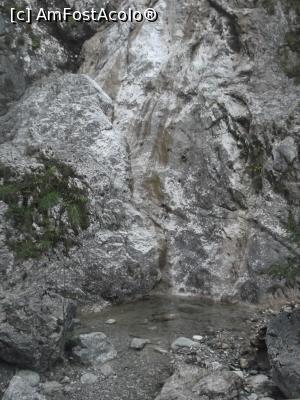 [P18] Cascada Palenk, văzută frontal » foto by diacrys*
 - 
<span class="allrVoted glyphicon glyphicon-heart hidden" id="av795944"></span>
<a class="m-l-10 hidden" id="sv795944" onclick="voting_Foto_DelVot(,795944,1181)" role="button">șterge vot <span class="glyphicon glyphicon-remove"></span></a>
<a id="v9795944" class=" c-red"  onclick="voting_Foto_SetVot(795944)" role="button"><span class="glyphicon glyphicon-heart-empty"></span> <b>LIKE</b> = Votează poza</a> <img class="hidden"  id="f795944W9" src="/imagini/loader.gif" border="0" /><span class="AjErrMes hidden" id="e795944ErM"></span>