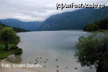 [P27] Lacul Bohinj » foto by cristinadumitru*
 - 
<span class="allrVoted glyphicon glyphicon-heart hidden" id="av21570"></span>
<a class="m-l-10 hidden" id="sv21570" onclick="voting_Foto_DelVot(,21570,1181)" role="button">șterge vot <span class="glyphicon glyphicon-remove"></span></a>
<a id="v921570" class=" c-red"  onclick="voting_Foto_SetVot(21570)" role="button"><span class="glyphicon glyphicon-heart-empty"></span> <b>LIKE</b> = Votează poza</a> <img class="hidden"  id="f21570W9" src="/imagini/loader.gif" border="0" /><span class="AjErrMes hidden" id="e21570ErM"></span>