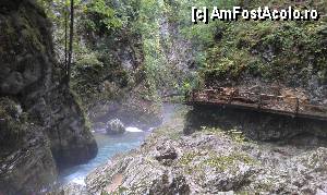 [P33] Un loc sălbatec, întortocheat şi totuşi accesibil graţie amenajărilor făcute de edili în Cheile Vintgar. Bled, Slovenia.  » foto by traian.leuca †
 - 
<span class="allrVoted glyphicon glyphicon-heart hidden" id="av415261"></span>
<a class="m-l-10 hidden" id="sv415261" onclick="voting_Foto_DelVot(,415261,1181)" role="button">șterge vot <span class="glyphicon glyphicon-remove"></span></a>
<a id="v9415261" class=" c-red"  onclick="voting_Foto_SetVot(415261)" role="button"><span class="glyphicon glyphicon-heart-empty"></span> <b>LIKE</b> = Votează poza</a> <img class="hidden"  id="f415261W9" src="/imagini/loader.gif" border="0" /><span class="AjErrMes hidden" id="e415261ErM"></span>