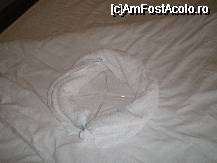 [P02] No comment » foto by andreeab
 - 
<span class="allrVoted glyphicon glyphicon-heart hidden" id="av29674"></span>
<a class="m-l-10 hidden" id="sv29674" onclick="voting_Foto_DelVot(,29674,1187)" role="button">șterge vot <span class="glyphicon glyphicon-remove"></span></a>
<a id="v929674" class=" c-red"  onclick="voting_Foto_SetVot(29674)" role="button"><span class="glyphicon glyphicon-heart-empty"></span> <b>LIKE</b> = Votează poza</a> <img class="hidden"  id="f29674W9" src="/imagini/loader.gif" border="0" /><span class="AjErrMes hidden" id="e29674ErM"></span>