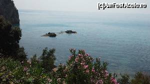 [P10] Multitudine de flori peste tot!  » foto by gettyy
 - 
<span class="allrVoted glyphicon glyphicon-heart hidden" id="av666471"></span>
<a class="m-l-10 hidden" id="sv666471" onclick="voting_Foto_DelVot(,666471,1198)" role="button">șterge vot <span class="glyphicon glyphicon-remove"></span></a>
<a id="v9666471" class=" c-red"  onclick="voting_Foto_SetVot(666471)" role="button"><span class="glyphicon glyphicon-heart-empty"></span> <b>LIKE</b> = Votează poza</a> <img class="hidden"  id="f666471W9" src="/imagini/loader.gif" border="0" /><span class="AjErrMes hidden" id="e666471ErM"></span>