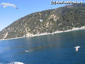 [P05] Conduşi pe mare de pescăruşi » foto by Michi
 - 
<span class="allrVoted glyphicon glyphicon-heart hidden" id="av613156"></span>
<a class="m-l-10 hidden" id="sv613156" onclick="voting_Foto_DelVot(,613156,1227)" role="button">șterge vot <span class="glyphicon glyphicon-remove"></span></a>
<a id="v9613156" class=" c-red"  onclick="voting_Foto_SetVot(613156)" role="button"><span class="glyphicon glyphicon-heart-empty"></span> <b>LIKE</b> = Votează poza</a> <img class="hidden"  id="f613156W9" src="/imagini/loader.gif" border="0" /><span class="AjErrMes hidden" id="e613156ErM"></span>