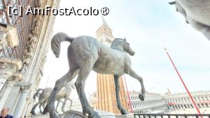 [P14] Bazilica San Marco » foto by vlado2
 - 
<span class="allrVoted glyphicon glyphicon-heart hidden" id="av1527850"></span>
<a class="m-l-10 hidden" id="sv1527850" onclick="voting_Foto_DelVot(,1527850,1229)" role="button">șterge vot <span class="glyphicon glyphicon-remove"></span></a>
<a id="v91527850" class=" c-red"  onclick="voting_Foto_SetVot(1527850)" role="button"><span class="glyphicon glyphicon-heart-empty"></span> <b>LIKE</b> = Votează poza</a> <img class="hidden"  id="f1527850W9" src="/imagini/loader.gif" border="0" /><span class="AjErrMes hidden" id="e1527850ErM"></span>