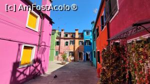 [P15] Faimosul Burano! » foto by vlado2
 - 
<span class="allrVoted glyphicon glyphicon-heart hidden" id="av1527851"></span>
<a class="m-l-10 hidden" id="sv1527851" onclick="voting_Foto_DelVot(,1527851,1229)" role="button">șterge vot <span class="glyphicon glyphicon-remove"></span></a>
<a id="v91527851" class=" c-red"  onclick="voting_Foto_SetVot(1527851)" role="button"><span class="glyphicon glyphicon-heart-empty"></span> <b>LIKE</b> = Votează poza</a> <img class="hidden"  id="f1527851W9" src="/imagini/loader.gif" border="0" /><span class="AjErrMes hidden" id="e1527851ErM"></span>
