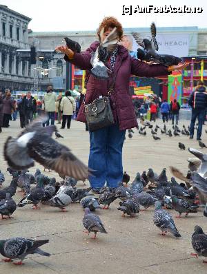 [P34] Pigeons whisperer :)). Ala albu' care venea din stanga pozei, din spate, in viteza, mi s-a asezat pe cap. Aveau niste picioruse foarte reci.  » foto by MCM
 - 
<span class="allrVoted glyphicon glyphicon-heart hidden" id="av403049"></span>
<a class="m-l-10 hidden" id="sv403049" onclick="voting_Foto_DelVot(,403049,1229)" role="button">șterge vot <span class="glyphicon glyphicon-remove"></span></a>
<a id="v9403049" class=" c-red"  onclick="voting_Foto_SetVot(403049)" role="button"><span class="glyphicon glyphicon-heart-empty"></span> <b>LIKE</b> = Votează poza</a> <img class="hidden"  id="f403049W9" src="/imagini/loader.gif" border="0" /><span class="AjErrMes hidden" id="e403049ErM"></span>