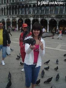 [P26] Dansul porumbeilor din Piazza San Marco. » foto by marcy74
 - 
<span class="allrVoted glyphicon glyphicon-heart hidden" id="av156164"></span>
<a class="m-l-10 hidden" id="sv156164" onclick="voting_Foto_DelVot(,156164,1229)" role="button">șterge vot <span class="glyphicon glyphicon-remove"></span></a>
<a id="v9156164" class=" c-red"  onclick="voting_Foto_SetVot(156164)" role="button"><span class="glyphicon glyphicon-heart-empty"></span> <b>LIKE</b> = Votează poza</a> <img class="hidden"  id="f156164W9" src="/imagini/loader.gif" border="0" /><span class="AjErrMes hidden" id="e156164ErM"></span>