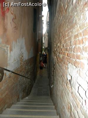 [P04]  -- <small>// FĂRĂ DESCRIERE</small> » foto by anuca27
 - 
<span class="allrVoted glyphicon glyphicon-heart hidden" id="av736127"></span>
<a class="m-l-10 hidden" id="sv736127" onclick="voting_Foto_DelVot(,736127,1229)" role="button">șterge vot <span class="glyphicon glyphicon-remove"></span></a>
<a id="v9736127" class=" c-red"  onclick="voting_Foto_SetVot(736127)" role="button"><span class="glyphicon glyphicon-heart-empty"></span> <b>LIKE</b> = Votează poza</a> <img class="hidden"  id="f736127W9" src="/imagini/loader.gif" border="0" /><span class="AjErrMes hidden" id="e736127ErM"></span>