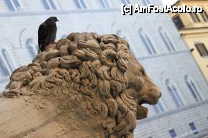 [P24] Un leu venețian și un porumbel care admiră Florența.  » foto by gettutza
 - 
<span class="allrVoted glyphicon glyphicon-heart hidden" id="av389320"></span>
<a class="m-l-10 hidden" id="sv389320" onclick="voting_Foto_DelVot(,389320,1230)" role="button">șterge vot <span class="glyphicon glyphicon-remove"></span></a>
<a id="v9389320" class=" c-red"  onclick="voting_Foto_SetVot(389320)" role="button"><span class="glyphicon glyphicon-heart-empty"></span> <b>LIKE</b> = Votează poza</a> <img class="hidden"  id="f389320W9" src="/imagini/loader.gif" border="0" /><span class="AjErrMes hidden" id="e389320ErM"></span>