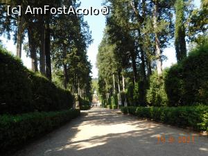 [P21] Aleea cu chiparoşi, Giardini di Boboli » foto by irinad
 - 
<span class="allrVoted glyphicon glyphicon-heart hidden" id="av1259100"></span>
<a class="m-l-10 hidden" id="sv1259100" onclick="voting_Foto_DelVot(,1259100,1230)" role="button">șterge vot <span class="glyphicon glyphicon-remove"></span></a>
<a id="v91259100" class=" c-red"  onclick="voting_Foto_SetVot(1259100)" role="button"><span class="glyphicon glyphicon-heart-empty"></span> <b>LIKE</b> = Votează poza</a> <img class="hidden"  id="f1259100W9" src="/imagini/loader.gif" border="0" /><span class="AjErrMes hidden" id="e1259100ErM"></span>