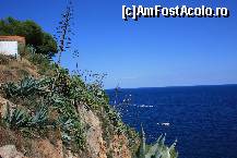 [P07] Ce ziceti de culoarea Mediteranei? » foto by santana*
 - 
<span class="allrVoted glyphicon glyphicon-heart hidden" id="av148134"></span>
<a class="m-l-10 hidden" id="sv148134" onclick="voting_Foto_DelVot(,148134,1270)" role="button">șterge vot <span class="glyphicon glyphicon-remove"></span></a>
<a id="v9148134" class=" c-red"  onclick="voting_Foto_SetVot(148134)" role="button"><span class="glyphicon glyphicon-heart-empty"></span> <b>LIKE</b> = Votează poza</a> <img class="hidden"  id="f148134W9" src="/imagini/loader.gif" border="0" /><span class="AjErrMes hidden" id="e148134ErM"></span>
