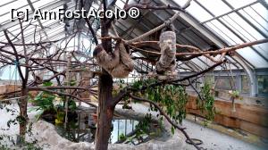 [P31] Lenesii :)  » foto by noi doi
 - 
<span class="allrVoted glyphicon glyphicon-heart hidden" id="av805324"></span>
<a class="m-l-10 hidden" id="sv805324" onclick="voting_Foto_DelVot(,805324,1275)" role="button">șterge vot <span class="glyphicon glyphicon-remove"></span></a>
<a id="v9805324" class=" c-red"  onclick="voting_Foto_SetVot(805324)" role="button"><span class="glyphicon glyphicon-heart-empty"></span> <b>LIKE</b> = Votează poza</a> <img class="hidden"  id="f805324W9" src="/imagini/loader.gif" border="0" /><span class="AjErrMes hidden" id="e805324ErM"></span>
