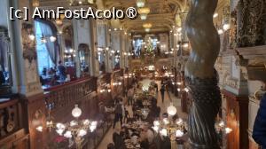 [P01] la celebra cafenea » foto by robert
 - 
<span class="allrVoted glyphicon glyphicon-heart hidden" id="av1508573"></span>
<a class="m-l-10 hidden" id="sv1508573" onclick="voting_Foto_DelVot(,1508573,1275)" role="button">șterge vot <span class="glyphicon glyphicon-remove"></span></a>
<a id="v91508573" class=" c-red"  onclick="voting_Foto_SetVot(1508573)" role="button"><span class="glyphicon glyphicon-heart-empty"></span> <b>LIKE</b> = Votează poza</a> <img class="hidden"  id="f1508573W9" src="/imagini/loader.gif" border="0" /><span class="AjErrMes hidden" id="e1508573ErM"></span>