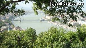 [P48]  -- <small>// FĂRĂ DESCRIERE</small> » foto by dinualx
 - 
<span class="allrVoted glyphicon glyphicon-heart hidden" id="av364764"></span>
<a class="m-l-10 hidden" id="sv364764" onclick="voting_Foto_DelVot(,364764,1275)" role="button">șterge vot <span class="glyphicon glyphicon-remove"></span></a>
<a id="v9364764" class=" c-red"  onclick="voting_Foto_SetVot(364764)" role="button"><span class="glyphicon glyphicon-heart-empty"></span> <b>LIKE</b> = Votează poza</a> <img class="hidden"  id="f364764W9" src="/imagini/loader.gif" border="0" /><span class="AjErrMes hidden" id="e364764ErM"></span>