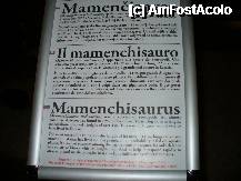 [P09] aici gasiti explicatii despre acest animal preistoric » foto by skippy
 - 
<span class="allrVoted glyphicon glyphicon-heart hidden" id="av196403"></span>
<a class="m-l-10 hidden" id="sv196403" onclick="voting_Foto_DelVot(,196403,1382)" role="button">șterge vot <span class="glyphicon glyphicon-remove"></span></a>
<a id="v9196403" class=" c-red"  onclick="voting_Foto_SetVot(196403)" role="button"><span class="glyphicon glyphicon-heart-empty"></span> <b>LIKE</b> = Votează poza</a> <img class="hidden"  id="f196403W9" src="/imagini/loader.gif" border="0" /><span class="AjErrMes hidden" id="e196403ErM"></span>