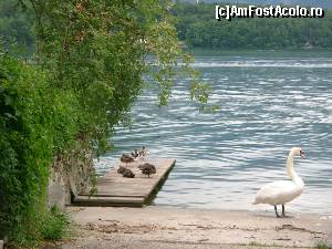 [P05] Hallstattersee este un lac relativ mic de 8 km lungime si 2km latime, cu apele intunecate si marginit de munti.  » foto by stellinna
 - 
<span class="allrVoted glyphicon glyphicon-heart hidden" id="av670806"></span>
<a class="m-l-10 hidden" id="sv670806" onclick="voting_Foto_DelVot(,670806,1383)" role="button">șterge vot <span class="glyphicon glyphicon-remove"></span></a>
<a id="v9670806" class=" c-red"  onclick="voting_Foto_SetVot(670806)" role="button"><span class="glyphicon glyphicon-heart-empty"></span> <b>LIKE</b> = Votează poza</a> <img class="hidden"  id="f670806W9" src="/imagini/loader.gif" border="0" /><span class="AjErrMes hidden" id="e670806ErM"></span>