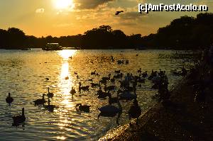 P10 [SEP-2015] Pasari la apus in Hyde Park