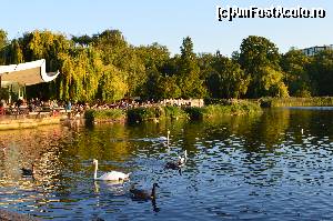 [P09] Lacul Serpentine in Hyde Park » foto by alb1573
 - 
<span class="allrVoted glyphicon glyphicon-heart hidden" id="av669999"></span>
<a class="m-l-10 hidden" id="sv669999" onclick="voting_Foto_DelVot(,669999,1570)" role="button">șterge vot <span class="glyphicon glyphicon-remove"></span></a>
<a id="v9669999" class=" c-red"  onclick="voting_Foto_SetVot(669999)" role="button"><span class="glyphicon glyphicon-heart-empty"></span> <b>LIKE</b> = Votează poza</a> <img class="hidden"  id="f669999W9" src="/imagini/loader.gif" border="0" /><span class="AjErrMes hidden" id="e669999ErM"></span>