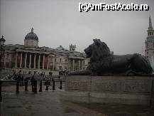 [P27] Trafalgar Square » foto by georgiana
 - 
<span class="allrVoted glyphicon glyphicon-heart hidden" id="av29104"></span>
<a class="m-l-10 hidden" id="sv29104" onclick="voting_Foto_DelVot(,29104,1570)" role="button">șterge vot <span class="glyphicon glyphicon-remove"></span></a>
<a id="v929104" class=" c-red"  onclick="voting_Foto_SetVot(29104)" role="button"><span class="glyphicon glyphicon-heart-empty"></span> <b>LIKE</b> = Votează poza</a> <img class="hidden"  id="f29104W9" src="/imagini/loader.gif" border="0" /><span class="AjErrMes hidden" id="e29104ErM"></span>