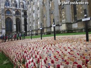 [P07] Poppy la Westminster Abbey.  » foto by sophie_p
 - 
<span class="allrVoted glyphicon glyphicon-heart hidden" id="av584509"></span>
<a class="m-l-10 hidden" id="sv584509" onclick="voting_Foto_DelVot(,584509,1570)" role="button">șterge vot <span class="glyphicon glyphicon-remove"></span></a>
<a id="v9584509" class=" c-red"  onclick="voting_Foto_SetVot(584509)" role="button"><span class="glyphicon glyphicon-heart-empty"></span> <b>LIKE</b> = Votează poza</a> <img class="hidden"  id="f584509W9" src="/imagini/loader.gif" border="0" /><span class="AjErrMes hidden" id="e584509ErM"></span>