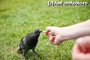 [P02] picnic in central park » foto by dranal
 - 
<span class="allrVoted glyphicon glyphicon-heart hidden" id="av634275"></span>
<a class="m-l-10 hidden" id="sv634275" onclick="voting_Foto_DelVot(,634275,1570)" role="button">șterge vot <span class="glyphicon glyphicon-remove"></span></a>
<a id="v9634275" class=" c-red"  onclick="voting_Foto_SetVot(634275)" role="button"><span class="glyphicon glyphicon-heart-empty"></span> <b>LIKE</b> = Votează poza</a> <img class="hidden"  id="f634275W9" src="/imagini/loader.gif" border="0" /><span class="AjErrMes hidden" id="e634275ErM"></span>