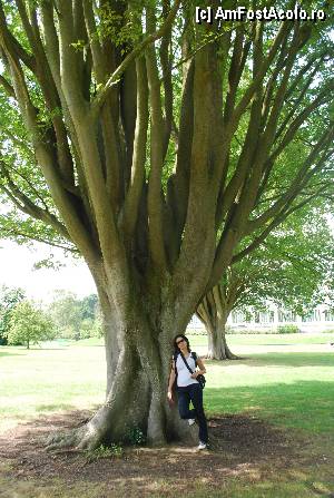 [P32] Kew Gardens » foto by elena_iasi
 - 
<span class="allrVoted glyphicon glyphicon-heart hidden" id="av359963"></span>
<a class="m-l-10 hidden" id="sv359963" onclick="voting_Foto_DelVot(,359963,1570)" role="button">șterge vot <span class="glyphicon glyphicon-remove"></span></a>
<a id="v9359963" class=" c-red"  onclick="voting_Foto_SetVot(359963)" role="button"><span class="glyphicon glyphicon-heart-empty"></span> <b>LIKE</b> = Votează poza</a> <img class="hidden"  id="f359963W9" src="/imagini/loader.gif" border="0" /><span class="AjErrMes hidden" id="e359963ErM"></span>