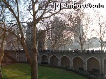 [P11] Tower Bridge vazut din curtea Tower of London » foto by thanas*
 - 
<span class="allrVoted glyphicon glyphicon-heart hidden" id="av5845"></span>
<a class="m-l-10 hidden" id="sv5845" onclick="voting_Foto_DelVot(,5845,1570)" role="button">șterge vot <span class="glyphicon glyphicon-remove"></span></a>
<a id="v95845" class=" c-red"  onclick="voting_Foto_SetVot(5845)" role="button"><span class="glyphicon glyphicon-heart-empty"></span> <b>LIKE</b> = Votează poza</a> <img class="hidden"  id="f5845W9" src="/imagini/loader.gif" border="0" /><span class="AjErrMes hidden" id="e5845ErM"></span>