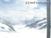 [P3x]  -- <small>// FĂRĂ DESCRIERE</small> » foto by Ana Maria
 - 
<span class="allrVoted glyphicon glyphicon-heart hidden" id="av12515"></span>
<a class="m-l-10 hidden" id="sv12515" onclick="voting_Foto_DelVot(,12515,1571)" role="button">șterge vot <span class="glyphicon glyphicon-remove"></span></a>
<a id="v912515" class=" c-red"  onclick="voting_Foto_SetVot(12515)" role="button"><span class="glyphicon glyphicon-heart-empty"></span> <b>LIKE</b> = Votează poza</a> <img class="hidden"  id="f12515W9" src="/imagini/loader.gif" border="0" /><span class="AjErrMes hidden" id="e12515ErM"></span>