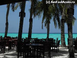 [P12] Vani Coffee pe plajă » foto by barbu minel
 - 
<span class="allrVoted glyphicon glyphicon-heart hidden" id="av519053"></span>
<a class="m-l-10 hidden" id="sv519053" onclick="voting_Foto_DelVot(,519053,1589)" role="button">șterge vot <span class="glyphicon glyphicon-remove"></span></a>
<a id="v9519053" class=" c-red"  onclick="voting_Foto_SetVot(519053)" role="button"><span class="glyphicon glyphicon-heart-empty"></span> <b>LIKE</b> = Votează poza</a> <img class="hidden"  id="f519053W9" src="/imagini/loader.gif" border="0" /><span class="AjErrMes hidden" id="e519053ErM"></span>