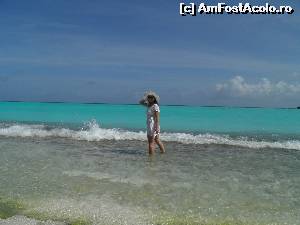 [P14] primii paşi în Oceanul Indian » foto by barbu minel
 - 
<span class="allrVoted glyphicon glyphicon-heart hidden" id="av519055"></span>
<a class="m-l-10 hidden" id="sv519055" onclick="voting_Foto_DelVot(,519055,1589)" role="button">șterge vot <span class="glyphicon glyphicon-remove"></span></a>
<a id="v9519055" class=" c-red"  onclick="voting_Foto_SetVot(519055)" role="button"><span class="glyphicon glyphicon-heart-empty"></span> <b>LIKE</b> = Votează poza</a> <img class="hidden"  id="f519055W9" src="/imagini/loader.gif" border="0" /><span class="AjErrMes hidden" id="e519055ErM"></span>