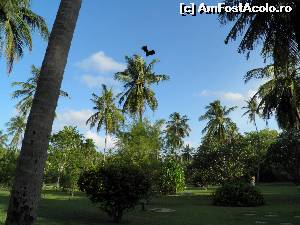 [P21] şi un liliac » foto by barbu minel
 - 
<span class="allrVoted glyphicon glyphicon-heart hidden" id="av519062"></span>
<a class="m-l-10 hidden" id="sv519062" onclick="voting_Foto_DelVot(,519062,1589)" role="button">șterge vot <span class="glyphicon glyphicon-remove"></span></a>
<a id="v9519062" class=" c-red"  onclick="voting_Foto_SetVot(519062)" role="button"><span class="glyphicon glyphicon-heart-empty"></span> <b>LIKE</b> = Votează poza</a> <img class="hidden"  id="f519062W9" src="/imagini/loader.gif" border="0" /><span class="AjErrMes hidden" id="e519062ErM"></span>