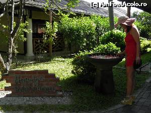 [P30] restaurantul main » foto by barbu minel
 - 
<span class="allrVoted glyphicon glyphicon-heart hidden" id="av519071"></span>
<a class="m-l-10 hidden" id="sv519071" onclick="voting_Foto_DelVot(,519071,1589)" role="button">șterge vot <span class="glyphicon glyphicon-remove"></span></a>
<a id="v9519071" class=" c-red"  onclick="voting_Foto_SetVot(519071)" role="button"><span class="glyphicon glyphicon-heart-empty"></span> <b>LIKE</b> = Votează poza</a> <img class="hidden"  id="f519071W9" src="/imagini/loader.gif" border="0" /><span class="AjErrMes hidden" id="e519071ErM"></span>