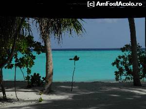 [P32] vedere de la masă » foto by barbu minel
 - 
<span class="allrVoted glyphicon glyphicon-heart hidden" id="av519073"></span>
<a class="m-l-10 hidden" id="sv519073" onclick="voting_Foto_DelVot(,519073,1589)" role="button">șterge vot <span class="glyphicon glyphicon-remove"></span></a>
<a id="v9519073" class=" c-red"  onclick="voting_Foto_SetVot(519073)" role="button"><span class="glyphicon glyphicon-heart-empty"></span> <b>LIKE</b> = Votează poza</a> <img class="hidden"  id="f519073W9" src="/imagini/loader.gif" border="0" /><span class="AjErrMes hidden" id="e519073ErM"></span>