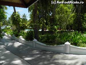 [P08] la stânga piscina » foto by barbu minel
 - 
<span class="allrVoted glyphicon glyphicon-heart hidden" id="av519049"></span>
<a class="m-l-10 hidden" id="sv519049" onclick="voting_Foto_DelVot(,519049,1589)" role="button">șterge vot <span class="glyphicon glyphicon-remove"></span></a>
<a id="v9519049" class=" c-red"  onclick="voting_Foto_SetVot(519049)" role="button"><span class="glyphicon glyphicon-heart-empty"></span> <b>LIKE</b> = Votează poza</a> <img class="hidden"  id="f519049W9" src="/imagini/loader.gif" border="0" /><span class="AjErrMes hidden" id="e519049ErM"></span>