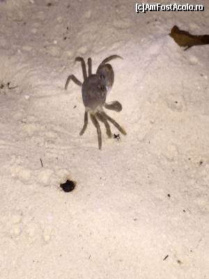 [P12] Un prieten » foto by Ynna
 - 
<span class="allrVoted glyphicon glyphicon-heart hidden" id="av654685"></span>
<a class="m-l-10 hidden" id="sv654685" onclick="voting_Foto_DelVot(,654685,1589)" role="button">șterge vot <span class="glyphicon glyphicon-remove"></span></a>
<a id="v9654685" class=" c-red"  onclick="voting_Foto_SetVot(654685)" role="button"><span class="glyphicon glyphicon-heart-empty"></span> <b>LIKE</b> = Votează poza</a> <img class="hidden"  id="f654685W9" src="/imagini/loader.gif" border="0" /><span class="AjErrMes hidden" id="e654685ErM"></span>