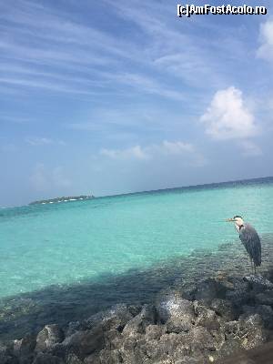 [P07]  -- <small>// FĂRĂ DESCRIERE</small> » foto by Ynna
 - 
<span class="allrVoted glyphicon glyphicon-heart hidden" id="av654680"></span>
<a class="m-l-10 hidden" id="sv654680" onclick="voting_Foto_DelVot(,654680,1589)" role="button">șterge vot <span class="glyphicon glyphicon-remove"></span></a>
<a id="v9654680" class=" c-red"  onclick="voting_Foto_SetVot(654680)" role="button"><span class="glyphicon glyphicon-heart-empty"></span> <b>LIKE</b> = Votează poza</a> <img class="hidden"  id="f654680W9" src="/imagini/loader.gif" border="0" /><span class="AjErrMes hidden" id="e654680ErM"></span>