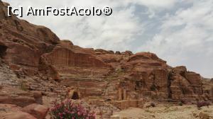 [P14] Petra - minunea roz - şi florile sunt tot roz » foto by nicole33
 - 
<span class="allrVoted glyphicon glyphicon-heart hidden" id="av927858"></span>
<a class="m-l-10 hidden" id="sv927858" onclick="voting_Foto_DelVot(,927858,1591)" role="button">șterge vot <span class="glyphicon glyphicon-remove"></span></a>
<a id="v9927858" class=" c-red"  onclick="voting_Foto_SetVot(927858)" role="button"><span class="glyphicon glyphicon-heart-empty"></span> <b>LIKE</b> = Votează poza</a> <img class="hidden"  id="f927858W9" src="/imagini/loader.gif" border="0" /><span class="AjErrMes hidden" id="e927858ErM"></span>