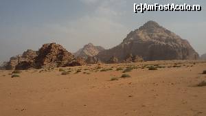 [P08] Wadi Rum » foto by MoniQ69
 - 
<span class="allrVoted glyphicon glyphicon-heart hidden" id="av670840"></span>
<a class="m-l-10 hidden" id="sv670840" onclick="voting_Foto_DelVot(,670840,1591)" role="button">șterge vot <span class="glyphicon glyphicon-remove"></span></a>
<a id="v9670840" class=" c-red"  onclick="voting_Foto_SetVot(670840)" role="button"><span class="glyphicon glyphicon-heart-empty"></span> <b>LIKE</b> = Votează poza</a> <img class="hidden"  id="f670840W9" src="/imagini/loader.gif" border="0" /><span class="AjErrMes hidden" id="e670840ErM"></span>