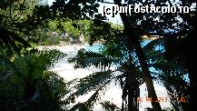 [P19] Panorama printre palmieri asupra plajei Petite Anse de pe Insula La Digue. Este f. frumoasa si cocheta, iar drumul pana la ea dintre plaja Grande Anse - absolut superb... » foto by Delia1313
 - 
<span class="allrVoted glyphicon glyphicon-heart hidden" id="av327156"></span>
<a class="m-l-10 hidden" id="sv327156" onclick="voting_Foto_DelVot(,327156,1613)" role="button">șterge vot <span class="glyphicon glyphicon-remove"></span></a>
<a id="v9327156" class=" c-red"  onclick="voting_Foto_SetVot(327156)" role="button"><span class="glyphicon glyphicon-heart-empty"></span> <b>LIKE</b> = Votează poza</a> <img class="hidden"  id="f327156W9" src="/imagini/loader.gif" border="0" /><span class="AjErrMes hidden" id="e327156ErM"></span>