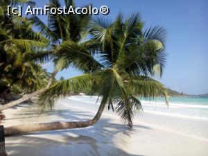 [P01] Plaja Anse Volbert Praslin, Seychelles » foto by dan39
 - 
<span class="allrVoted glyphicon glyphicon-heart hidden" id="av710472"></span>
<a class="m-l-10 hidden" id="sv710472" onclick="voting_Foto_DelVot(,710472,1613)" role="button">șterge vot <span class="glyphicon glyphicon-remove"></span></a>
<a id="v9710472" class=" c-red"  onclick="voting_Foto_SetVot(710472)" role="button"><span class="glyphicon glyphicon-heart-empty"></span> <b>LIKE</b> = Votează poza</a> <img class="hidden"  id="f710472W9" src="/imagini/loader.gif" border="0" /><span class="AjErrMes hidden" id="e710472ErM"></span>