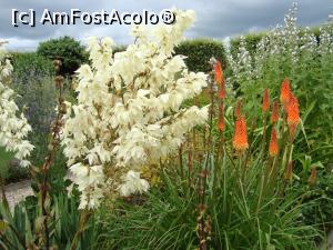 [P12] Miros de tuberoze, în gradina istorică a castelului.  » foto by mireille
 - 
<span class="allrVoted glyphicon glyphicon-heart hidden" id="av1143570"></span>
<a class="m-l-10 hidden" id="sv1143570" onclick="voting_Foto_DelVot(,1143570,1639)" role="button">șterge vot <span class="glyphicon glyphicon-remove"></span></a>
<a id="v91143570" class=" c-red"  onclick="voting_Foto_SetVot(1143570)" role="button"><span class="glyphicon glyphicon-heart-empty"></span> <b>LIKE</b> = Votează poza</a> <img class="hidden"  id="f1143570W9" src="/imagini/loader.gif" border="0" /><span class="AjErrMes hidden" id="e1143570ErM"></span>