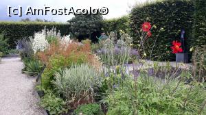 [P18] Mă simt minunat printre plante » foto by mireille
 - 
<span class="allrVoted glyphicon glyphicon-heart hidden" id="av1143576"></span>
<a class="m-l-10 hidden" id="sv1143576" onclick="voting_Foto_DelVot(,1143576,1639)" role="button">șterge vot <span class="glyphicon glyphicon-remove"></span></a>
<a id="v91143576" class=" c-red"  onclick="voting_Foto_SetVot(1143576)" role="button"><span class="glyphicon glyphicon-heart-empty"></span> <b>LIKE</b> = Votează poza</a> <img class="hidden"  id="f1143576W9" src="/imagini/loader.gif" border="0" /><span class="AjErrMes hidden" id="e1143576ErM"></span>