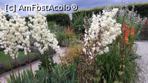 [P20] Surasul florilor de la mijlocul verii » foto by mireille
 - 
<span class="allrVoted glyphicon glyphicon-heart hidden" id="av1143578"></span>
<a class="m-l-10 hidden" id="sv1143578" onclick="voting_Foto_DelVot(,1143578,1639)" role="button">șterge vot <span class="glyphicon glyphicon-remove"></span></a>
<a id="v91143578" class=" c-red"  onclick="voting_Foto_SetVot(1143578)" role="button"><span class="glyphicon glyphicon-heart-empty"></span> <b>LIKE</b> = Votează poza</a> <img class="hidden"  id="f1143578W9" src="/imagini/loader.gif" border="0" /><span class="AjErrMes hidden" id="e1143578ErM"></span>