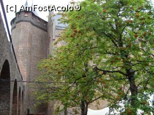 [P03] Dialogul meu cu zidurile groase » foto by mireille
 - 
<span class="allrVoted glyphicon glyphicon-heart hidden" id="av1143561"></span>
<a class="m-l-10 hidden" id="sv1143561" onclick="voting_Foto_DelVot(,1143561,1639)" role="button">șterge vot <span class="glyphicon glyphicon-remove"></span></a>
<a id="v91143561" class=" c-red"  onclick="voting_Foto_SetVot(1143561)" role="button"><span class="glyphicon glyphicon-heart-empty"></span> <b>LIKE</b> = Votează poza</a> <img class="hidden"  id="f1143561W9" src="/imagini/loader.gif" border="0" /><span class="AjErrMes hidden" id="e1143561ErM"></span>